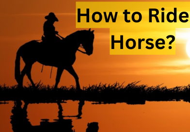 How to Ride a Horse?